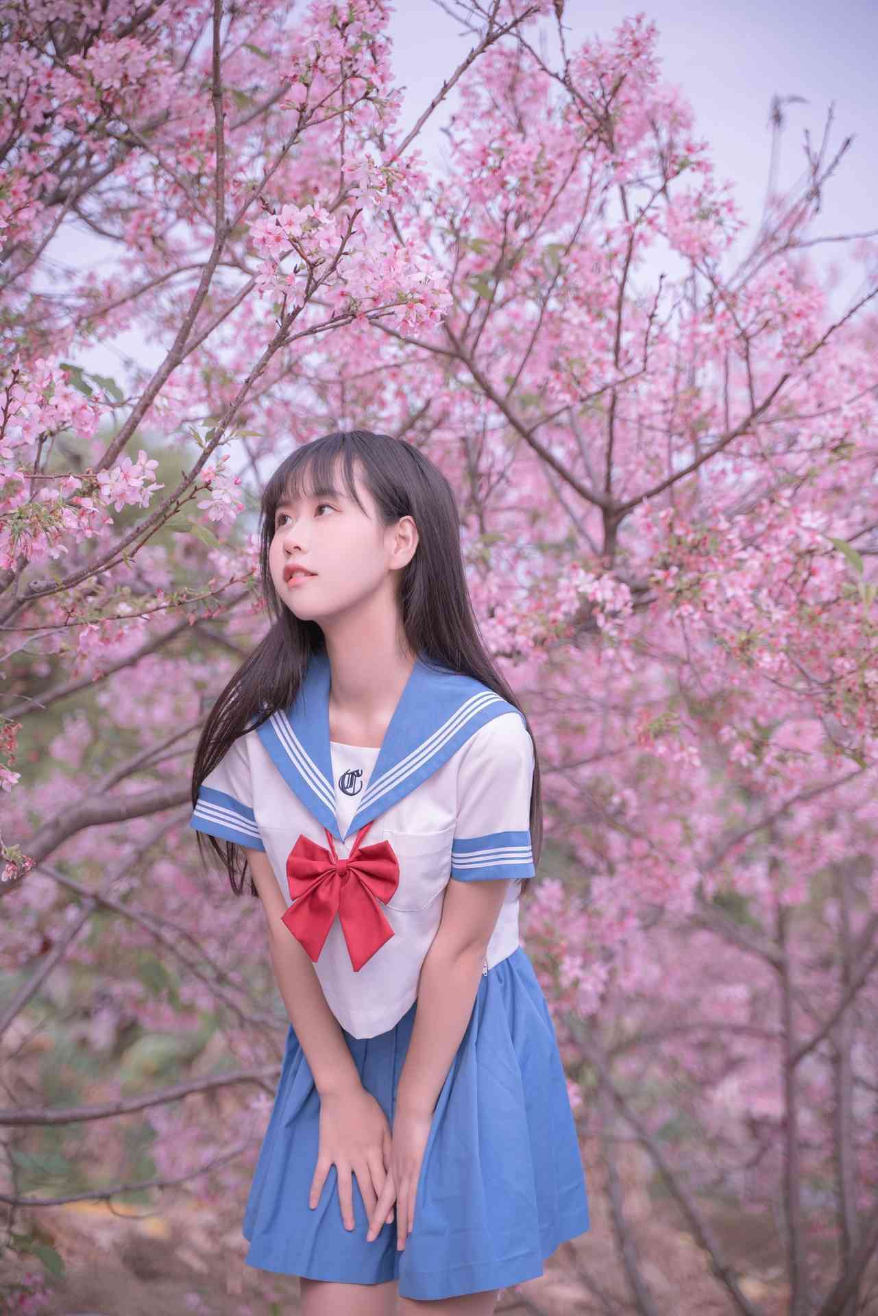 NO.024萌芽儿o0樱花JK美丽图片分享【30P】-可宝主